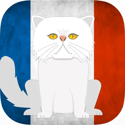 CatsAndVerbs - French verbs! Cheats