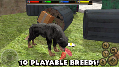 Ultimate Dog Simulator By Gluten Free Games Ios United States Searchman App Data Information - stats how rare is the giant penguin in pet simulator roblox