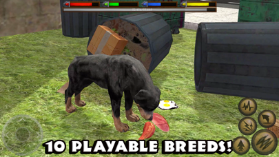 Ultimate Dog Simulator screenshot1