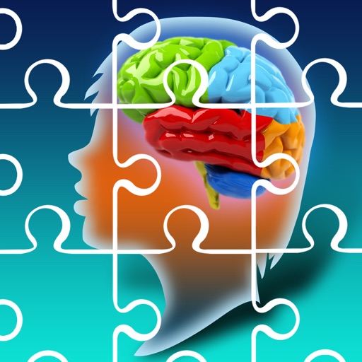 Erikss Brain Puzzles by ronald eriksson