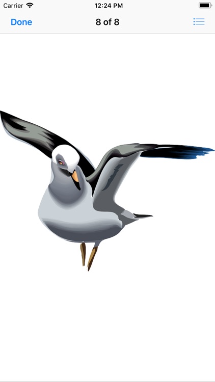 Seagull Stickers screenshot-9