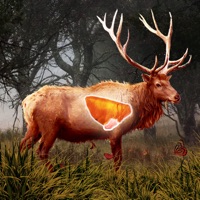 Deer Target Shooting : Pro pour PC