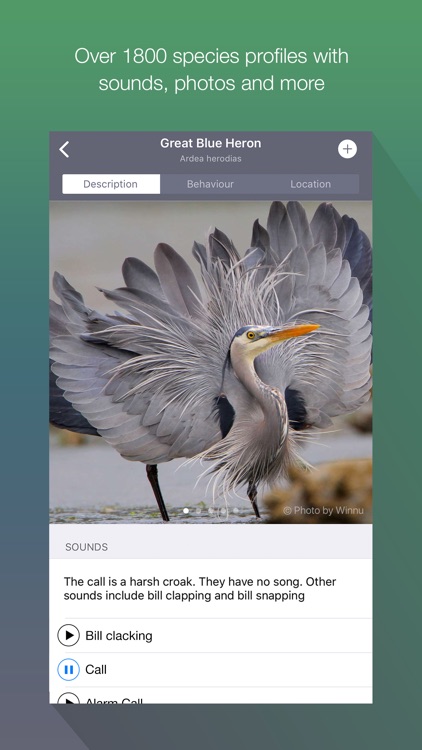 EyeLoveBirds: Bird Checklists screenshot-0