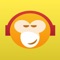 MonkeyMote HD gives you a full-fledged wireless music remote control for your iPad