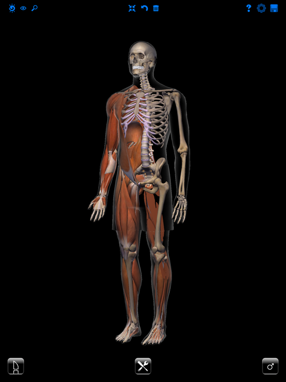 ザイゴット3D人体解剖のおすすめ画像2