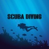 We Are Scuba Diver Stickers