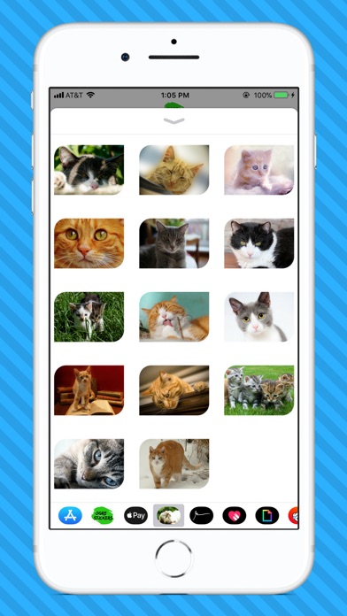 Adorable Cat Stickers screenshot 3