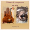 Wellness-Katzenpension