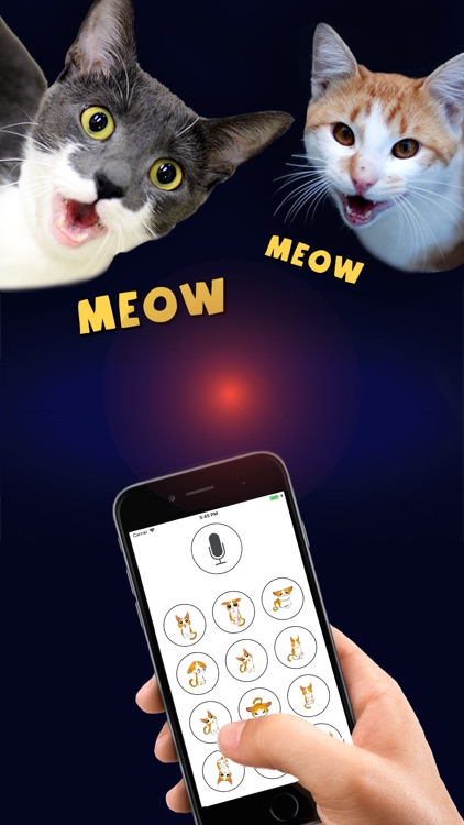 Cat Translator Deluxe