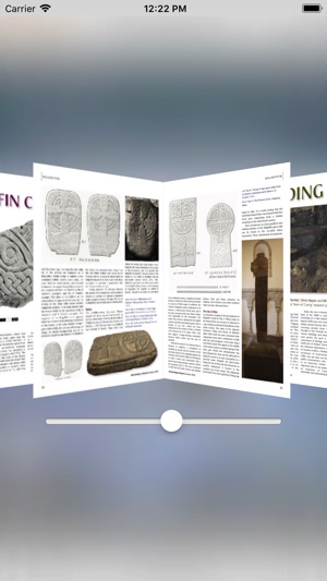 Archaeology Ireland(圖4)-速報App