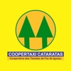 Coopertaxi Cataratas