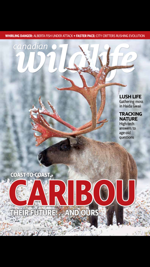 Canadian Wildlife Magazine(圖4)-速報App