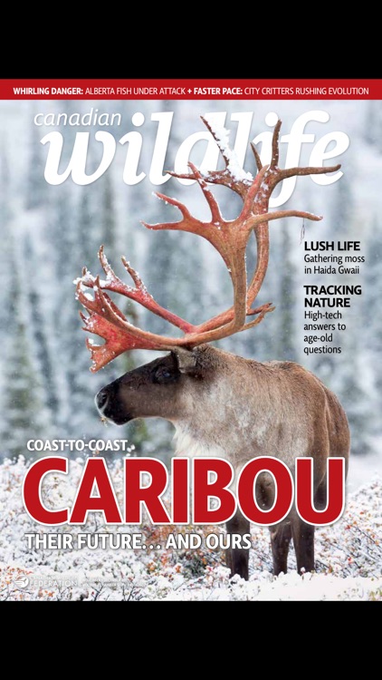 Canadian Wildlife Magazine screenshot-3