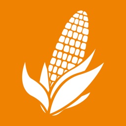 垦丰科沃施种业