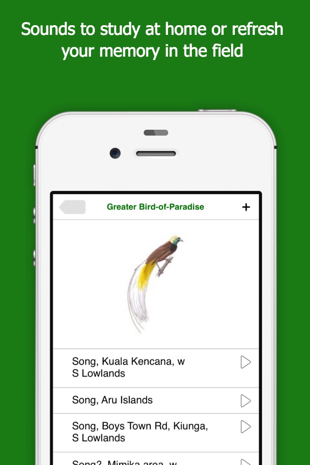 Birds of New Guinea screenshot 4