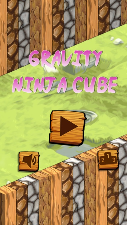 Gravity Ninja Cube