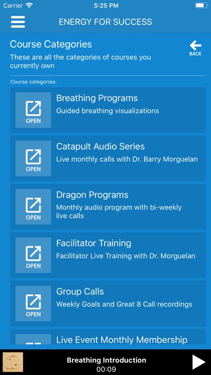 Audio - Energy For Success