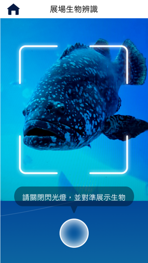 Ocean Life @海生館(圖5)-速報App