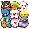 BirdLife -Cute Bird Game-