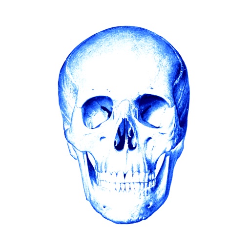 Anatomy Quiz lite