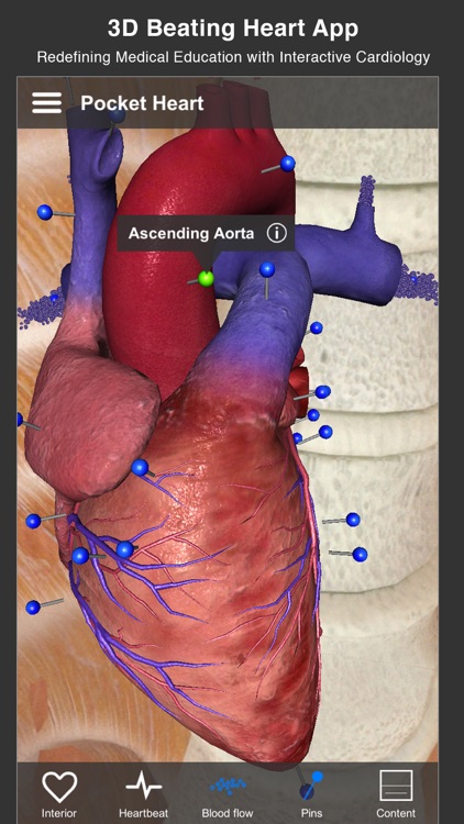 Pocket Heart screenshot-0