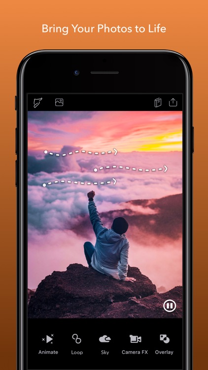 Enlight Pixaloop screenshot-0