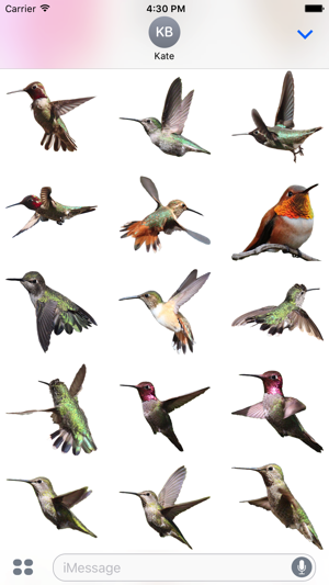 Hummingbirds - Medium (Retina)(圖3)-速報App