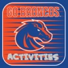 Go Broncos Activities