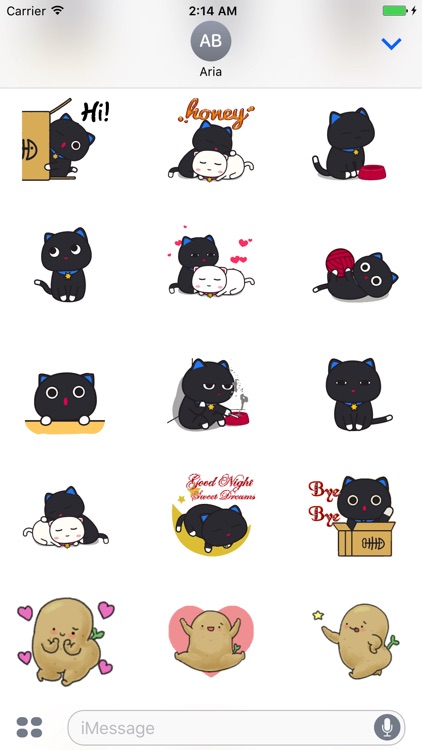 Animated Black Cat and Potato
