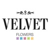 Velvet Flowers