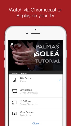 Flamenco Explained(圖5)-速報App