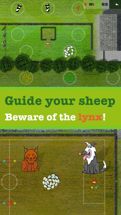 Sheep dog Championship screenshot 2