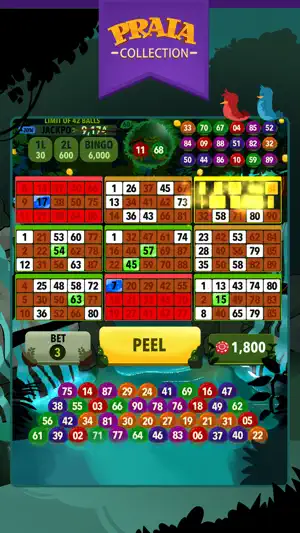 Snímek obrazovky 2 Video Bingo Ubatuba iphone