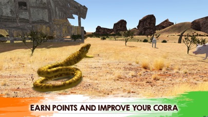 Poisonous Cobra Snake Sim screenshot 4