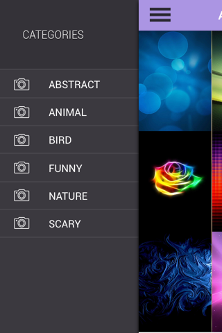 Wallpaper - Animal,Bird,Funny - náhled
