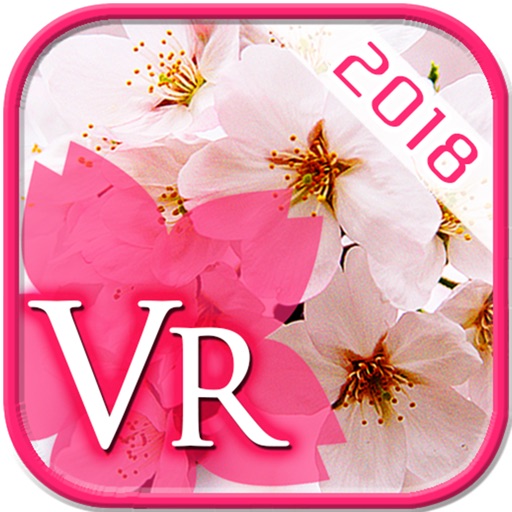 お花見さくらVR