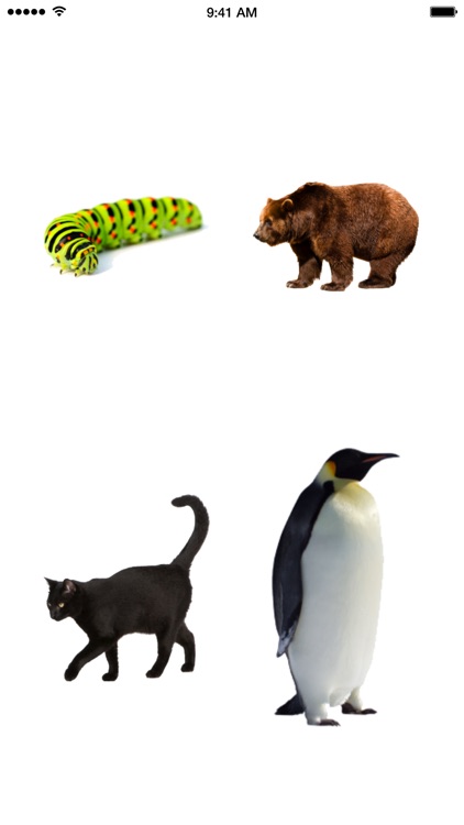 Toddler Animals Game