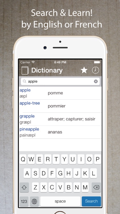 French English Dictionary Pro+