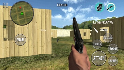 Crisis Bullet screenshot 2