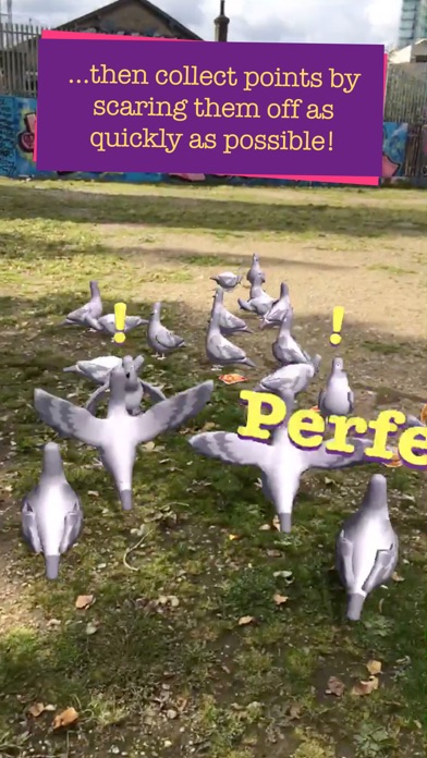 Pigeon Panic! AR screenshot 4