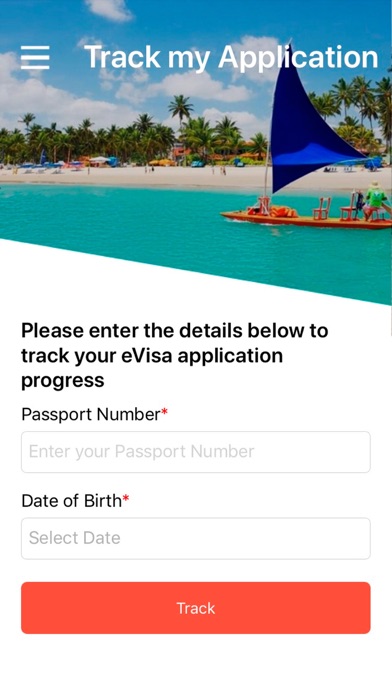 Brazil E-Visa screenshot 4