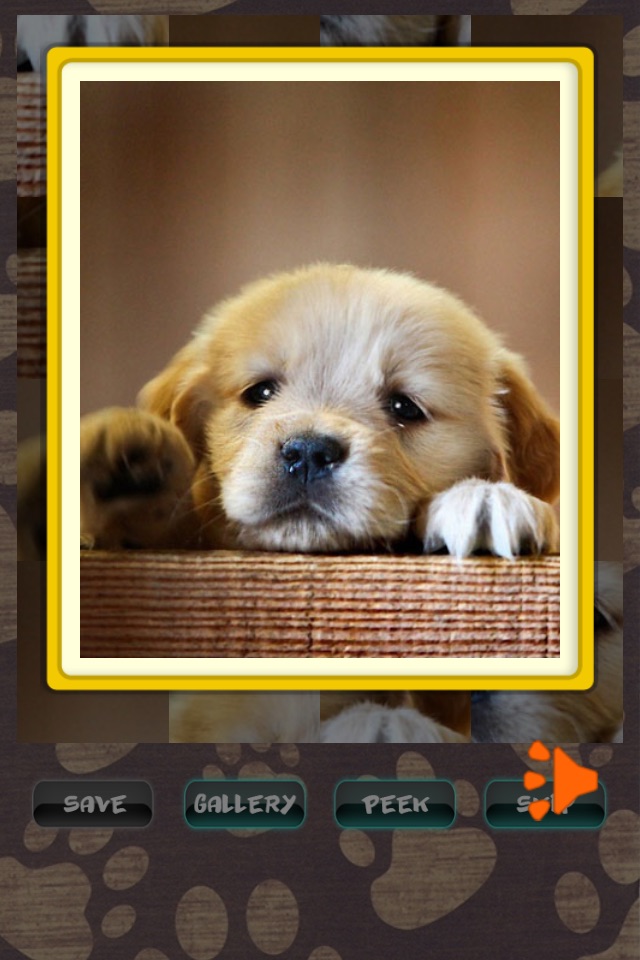 Cute Puppies Puzzle screenshot 3