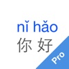 PinyinMate Pro