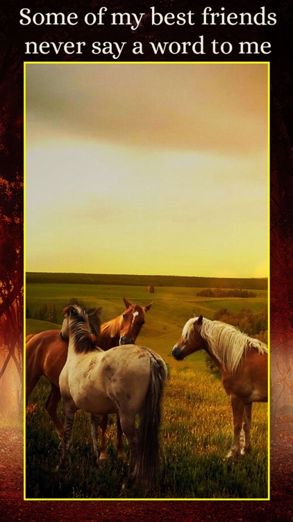 Horses - Wallpapers + Add Text