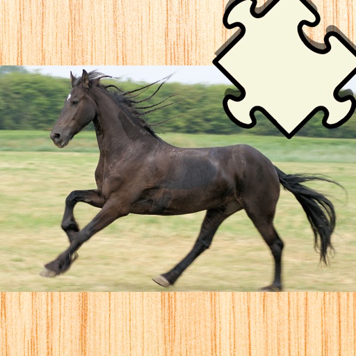 Animated Animal Puzzle With Ponies and Running Horses For Kids and Riding Lovers – Free Interactive Game To Learn Logical Thinking with Fun! Great Kids Game For Free iOS App