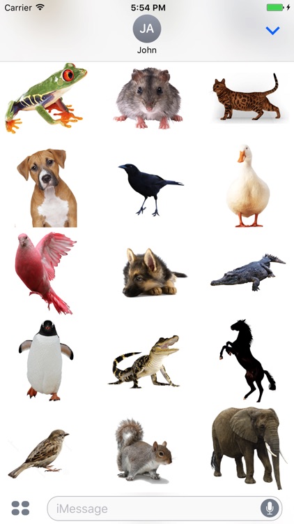 Animals Stickers Pack!