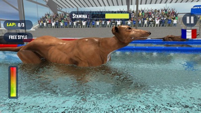 How to cancel & delete Dog Swimming Race from iphone & ipad 2