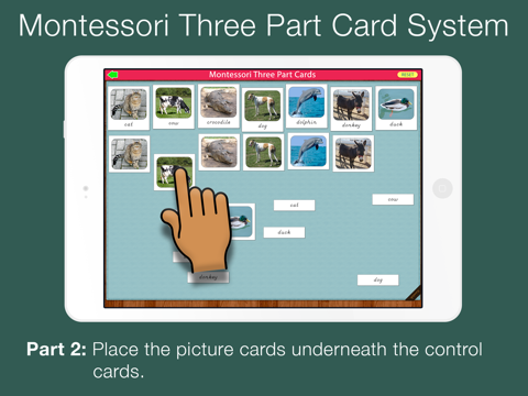 Montessori Three Part Cards screenshot 3