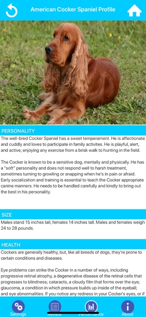 Dog Breeds Guide & Quiz(圖2)-速報App