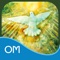 In this new oracle deck designed to bring peace and healing, 45 images and affirmations reflect the loving wisdom of Gaia